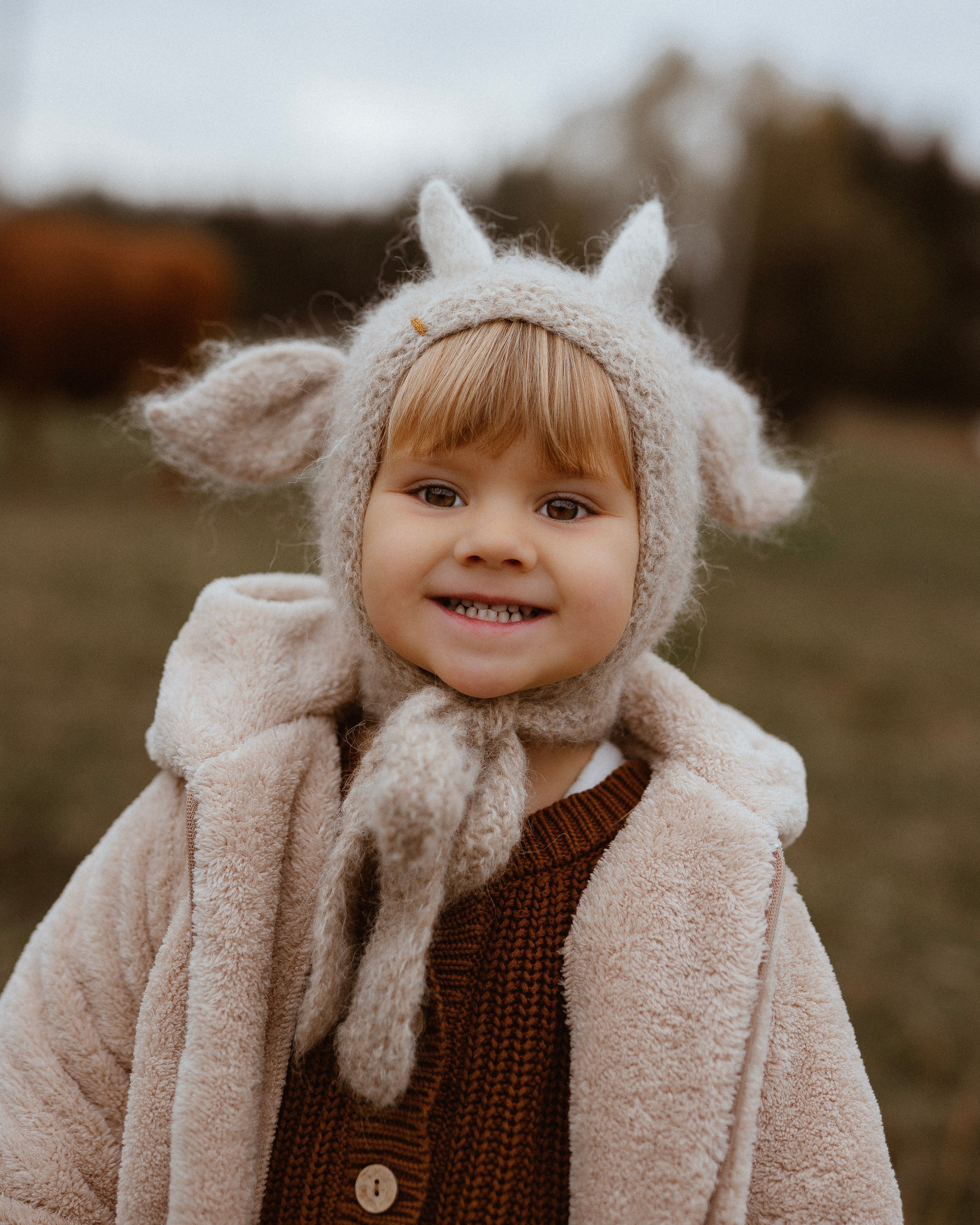 Moo Cow